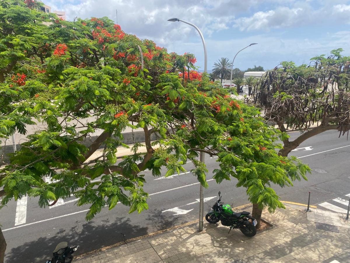 Santa Cruz De Tenerife Toscal מראה חיצוני תמונה