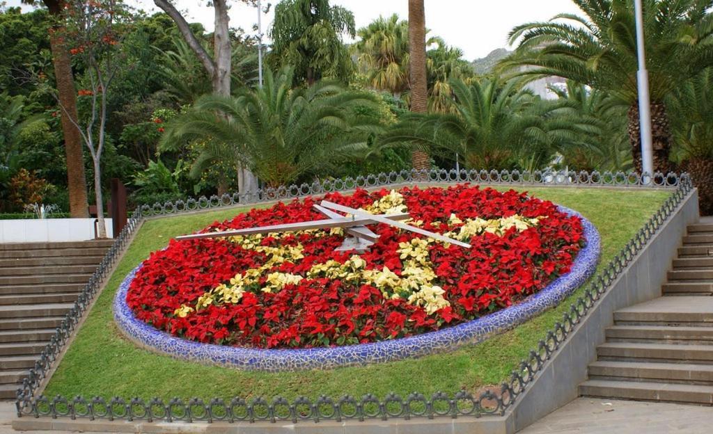 Santa Cruz De Tenerife Toscal מראה חיצוני תמונה