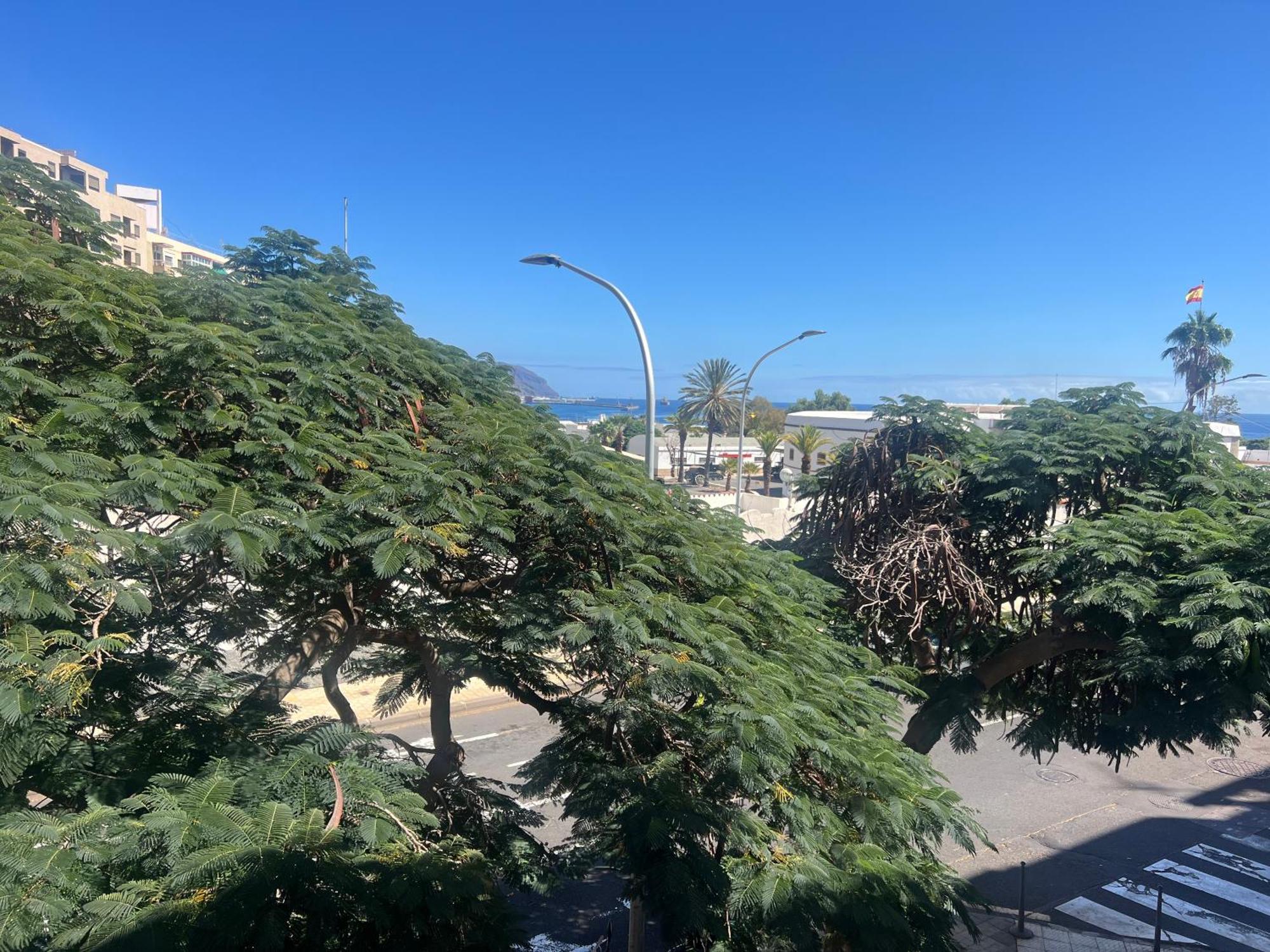 Santa Cruz De Tenerife Toscal מראה חיצוני תמונה